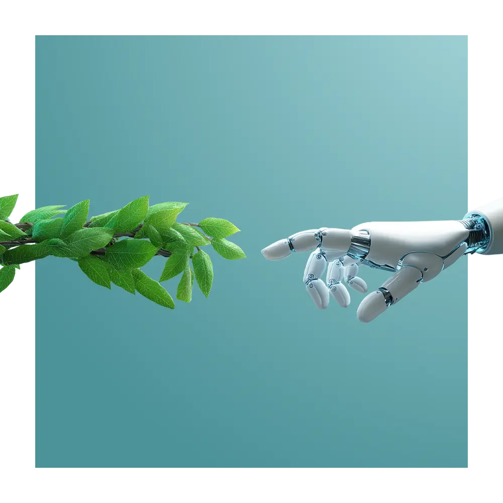 Kourosh Agroindustry Development Group