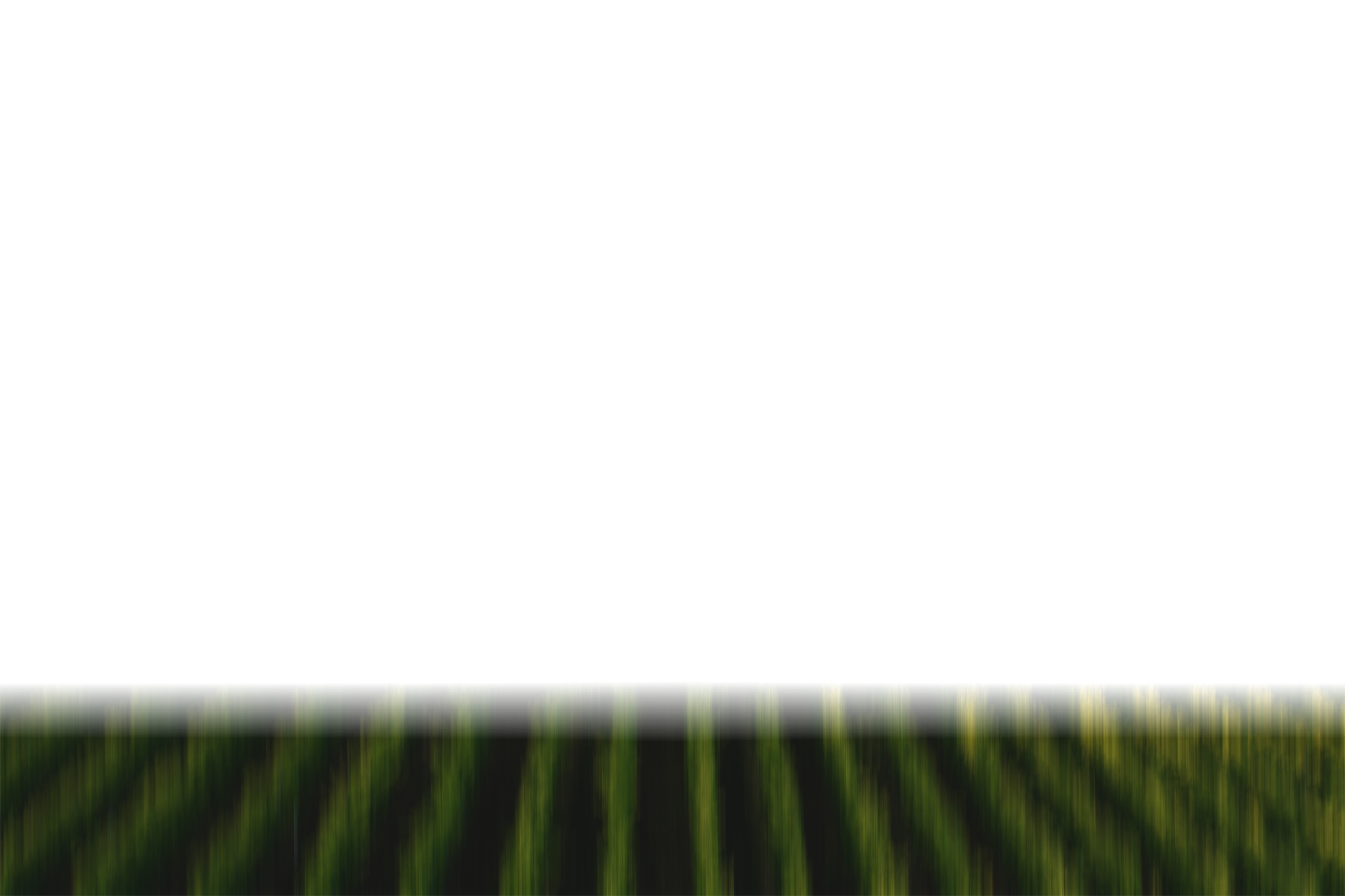 Layer 4